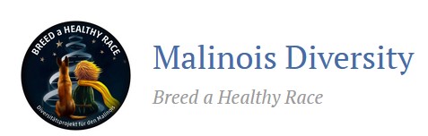 Malinois Diversity Projekt